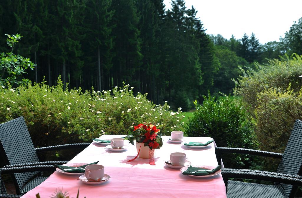 Hotel Landhaus Berghof Wenden  Экстерьер фото